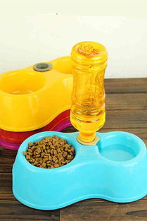 百貨新潮流 樂樂創(chuàng)意生活館與蘑菇街優(yōu)店引領(lǐng)寵物與日常用品的時尚融合