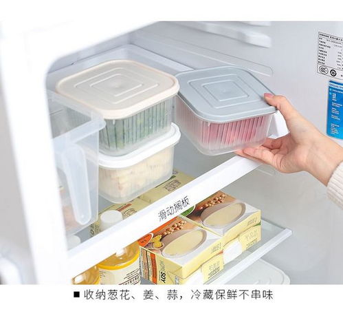 創意廚房好物 點亮烹飪樂趣，提升家居幸福感